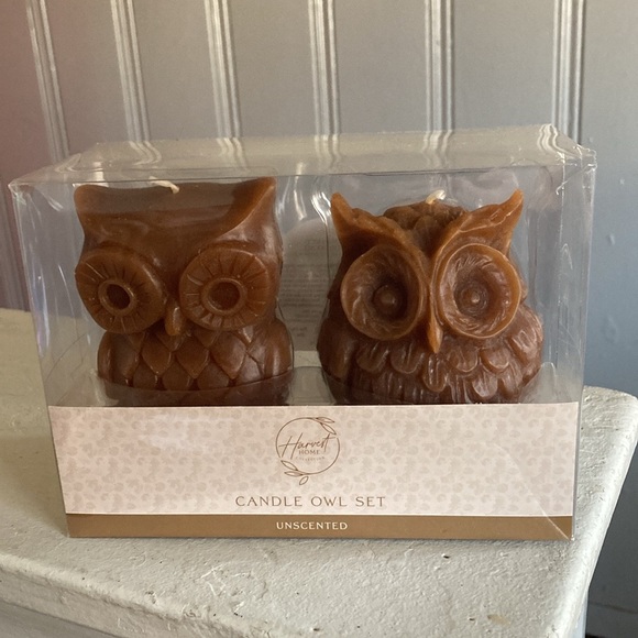 BNIB- 4.7"- Hand Carved- Unscented- 2 Pack- Brown Owl Figural Candles Decor Set - Picture 10 of 17